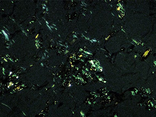 奧林巴斯顯微鏡