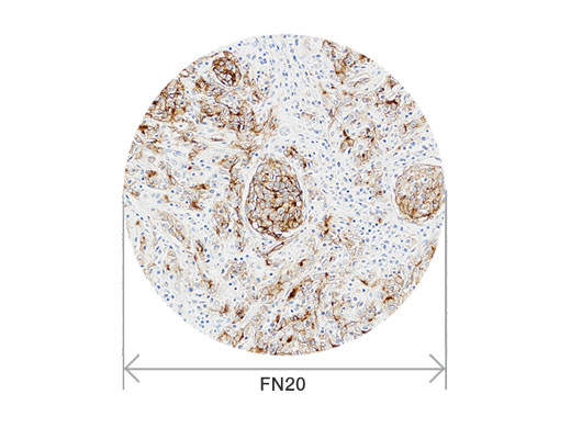 奧林巴斯顯微鏡