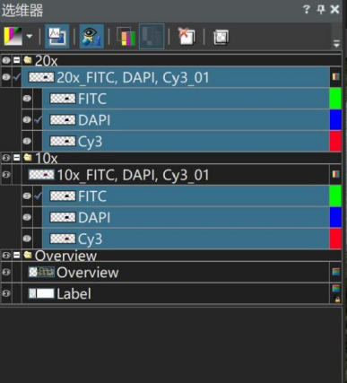 Microscope Microscope