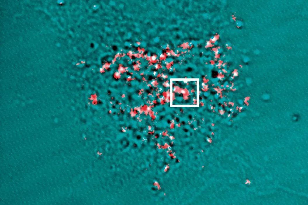 Microscope Microscope