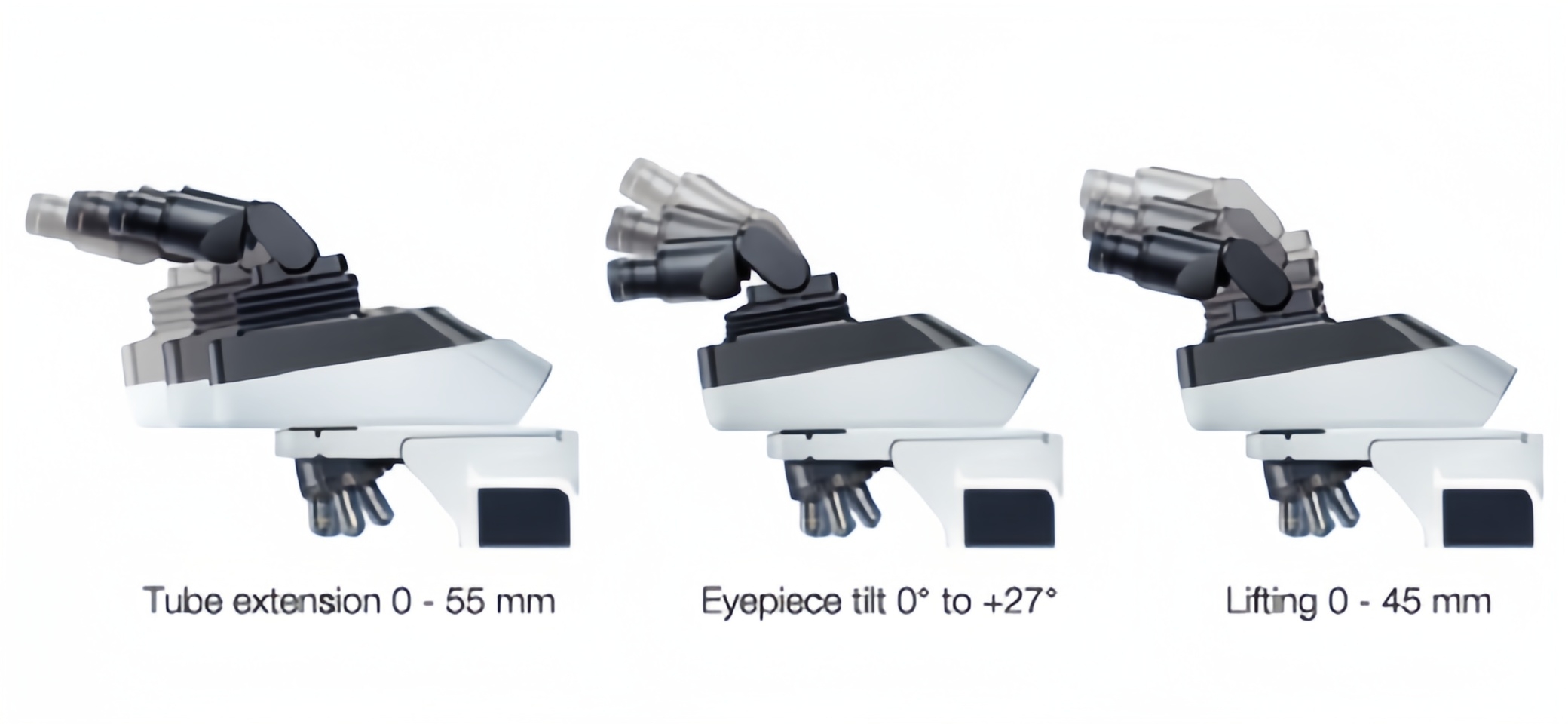 Microscope Microscope