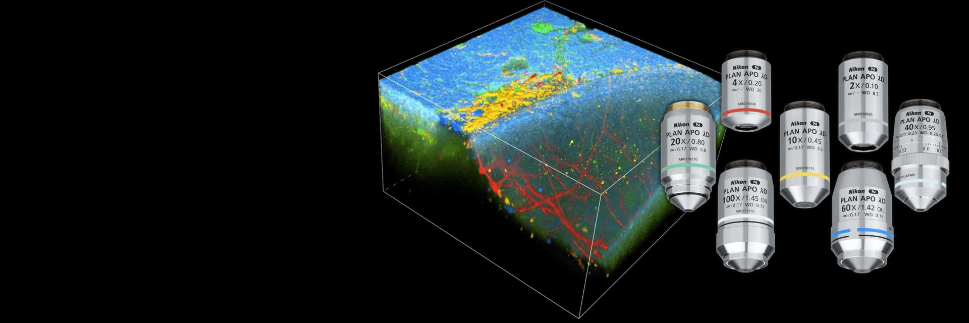 CFI Plan Apochromat<br>Lambda D系列