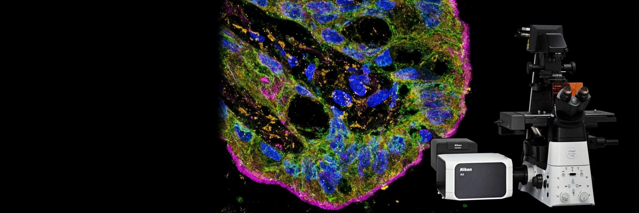 NIKON AX / AX R<br>with NSPARC