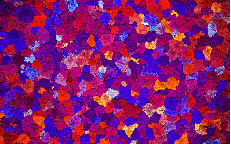 請(qǐng)上傳圖片