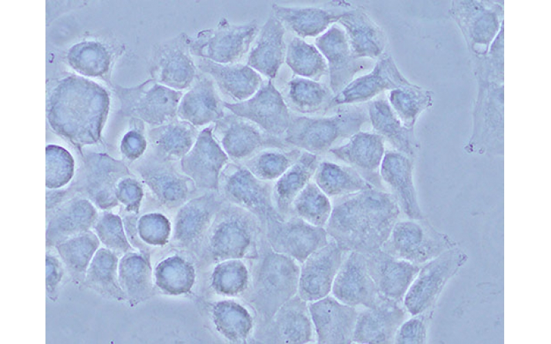 請(qǐng)上傳圖片