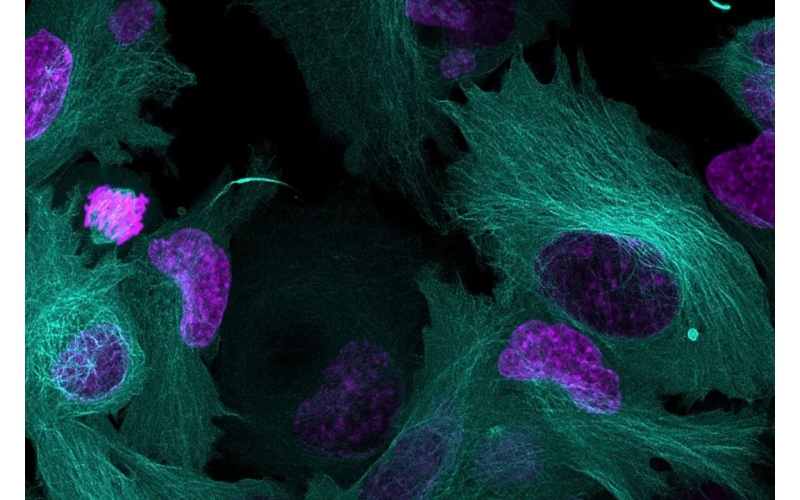 請(qǐng)上傳圖片