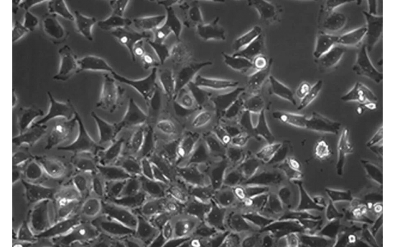 請(qǐng)上傳圖片