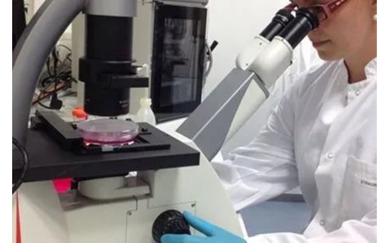 請(qǐng)上傳圖片