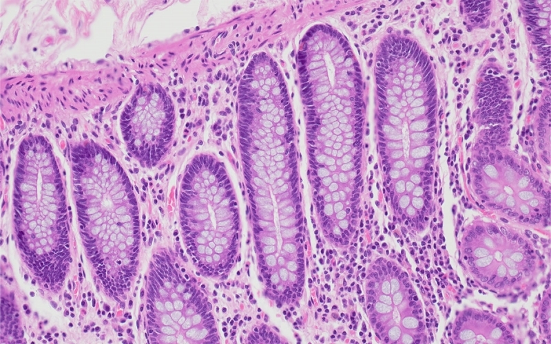 請(qǐng)上傳圖片