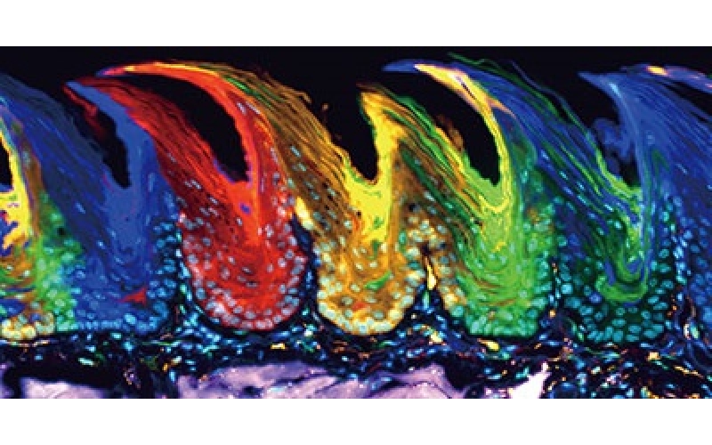 請(qǐng)上傳圖片