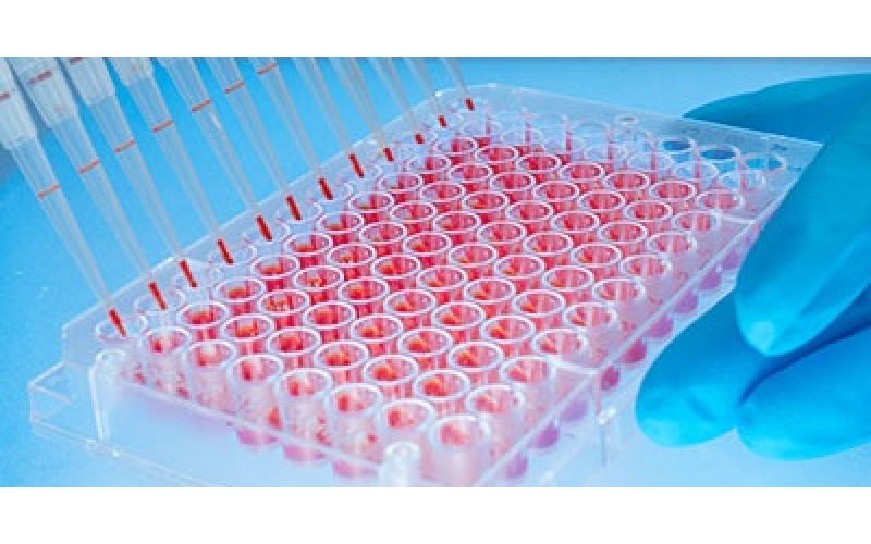 請(qǐng)上傳圖片