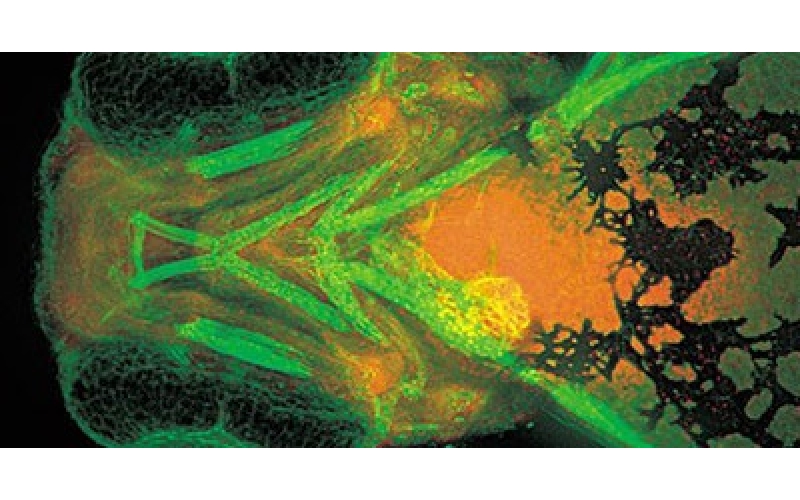 請(qǐng)上傳圖片