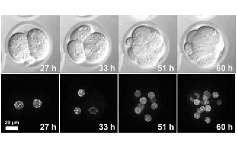 請(qǐng)上傳圖片