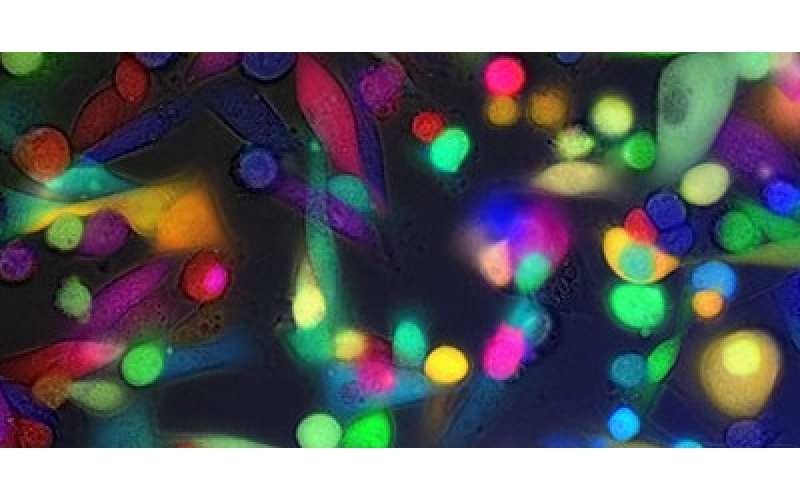 請(qǐng)上傳圖片