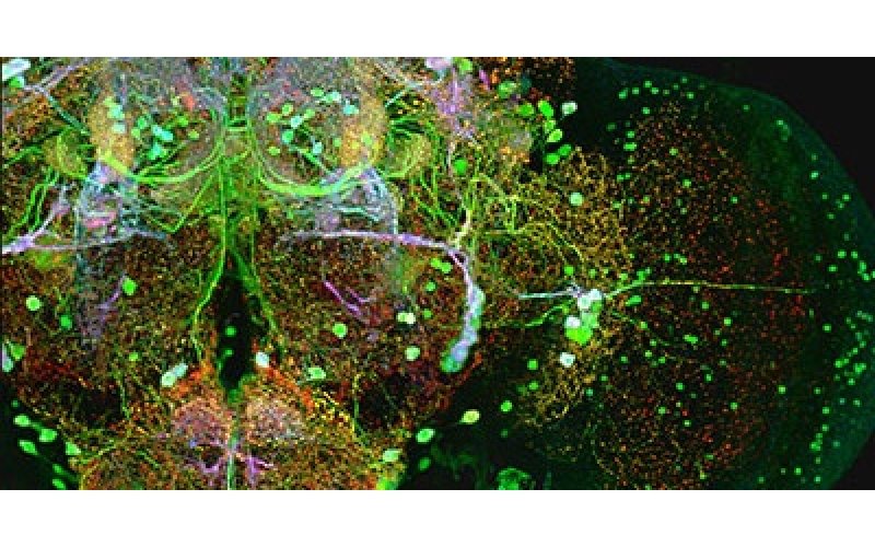 請(qǐng)上傳圖片