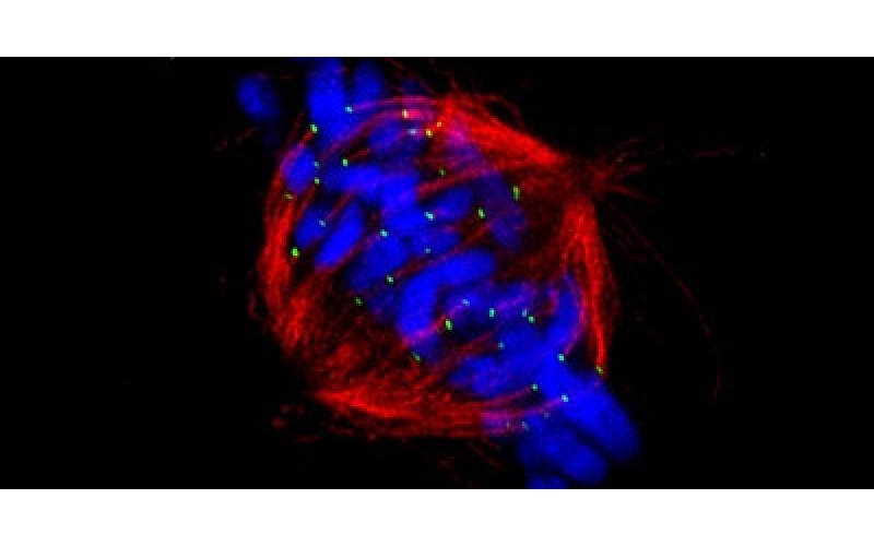 請(qǐng)上傳圖片