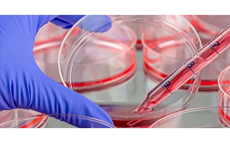 請(qǐng)上傳圖片