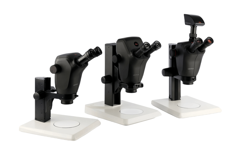 徠卡Ivesta 3體視顯微鏡