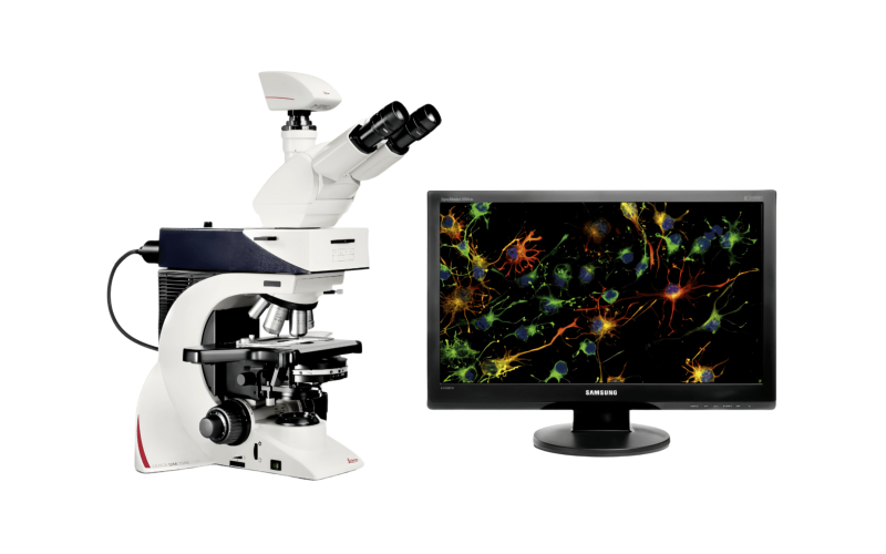 徠卡DM2500生物顯微鏡